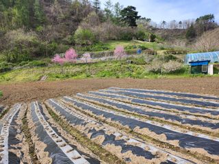 풍성농장님의 그곳에서 농사하게 된 계기는? · 참여글 작성글 사진