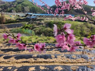 풍성농장님의 그곳에서 농사하게 된 계기는? · 참여글 작성글 사진