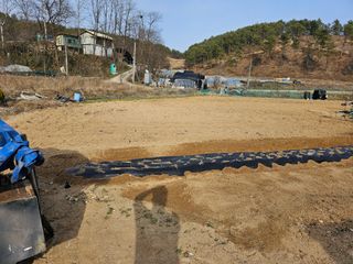 인생을사노라면님의 그곳에서 농사하게 된 계기는? · 참여글 작성글 사진