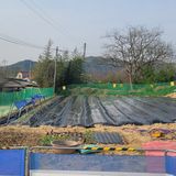 팜모닝 그곳에서 농사하게 된 계기는?·참여글 게시글 이미지