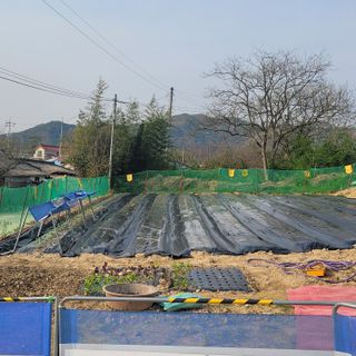 인생은나그네님의 그곳에서 농사하게 된 계기는? · 참여글 작성글 사진