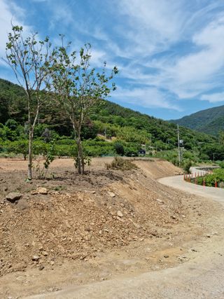 시골농부님의 그곳에서 농사하게 된 계기는? · 참여글 작성글 사진