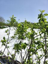 팜모닝 그곳에서 농사하게 된 계기는?·참여글 게시글 이미지