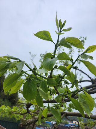 박미란님의 그곳에서 농사하게 된 계기는? · 참여글 작성글 사진