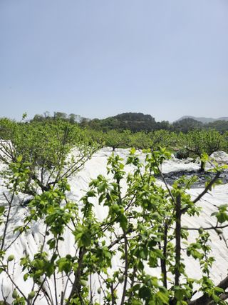 박미란님의 그곳에서 농사하게 된 계기는? · 참여글 작성글 사진