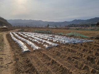 이상욱님의 그곳에서 농사하게 된 계기는? · 참여글 작성글 사진