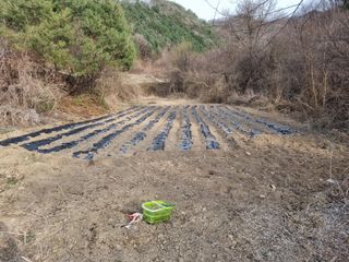 이상욱님의 그곳에서 농사하게 된 계기는? · 참여글 작성글 사진