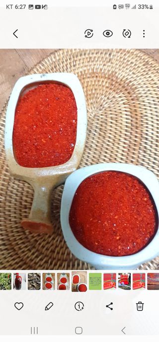 고추농사 정 미라님의 그곳에서 농사하게 된 계기는? · 참여글 작성글 사진