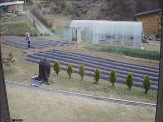 준수님의 그곳에서 농사하게 된 계기는? · 참여글 작성글 사진