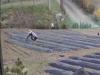 준수님의 그곳에서 농사하게 된 계기는? · 참여글 작성글 사진