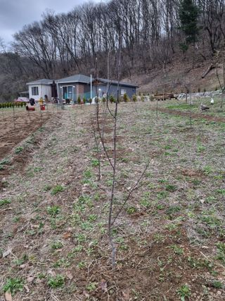 준수님의 그곳에서 농사하게 된 계기는? · 참여글 작성글 사진