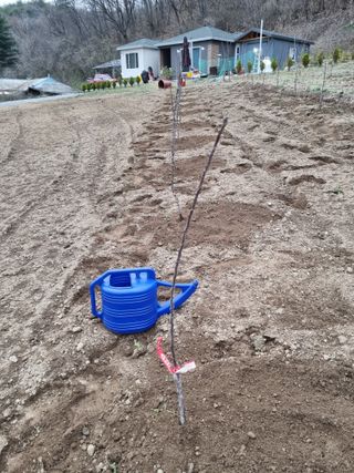 준수님의 그곳에서 농사하게 된 계기는? · 참여글 작성글 사진