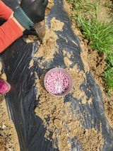 팜모닝 그곳에서 농사하게 된 계기는?·참여글 게시글 이미지