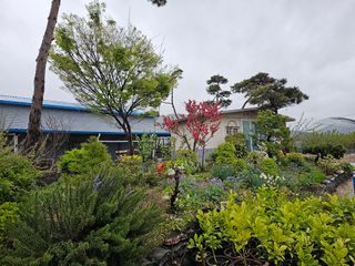 내츄럴팜 채명심님의 그곳에서 농사하게 된 계기는? · 참여글 작성글 사진