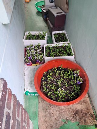 최무자님의 그곳에서 농사하게 된 계기는? · 참여글 작성글 사진