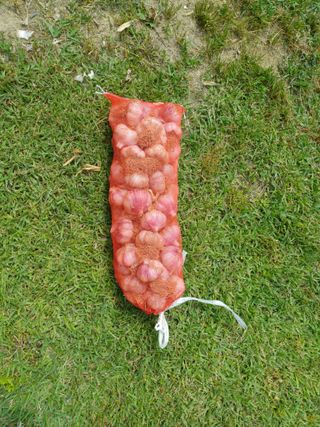 홍성희님의 그곳에서 농사하게 된 계기는? · 참여글 작성글 사진