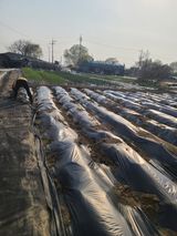 팜모닝 그곳에서 농사하게 된 계기는?·참여글 게시글 이미지