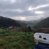 팜모닝 그곳에서 농사하게 된 계기는?·참여글 게시글 이미지