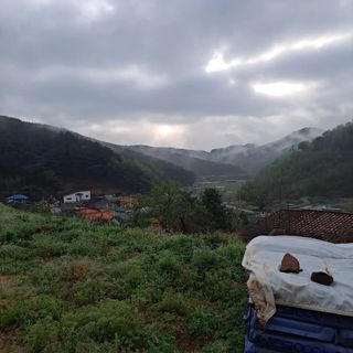 송인경님의 그곳에서 농사하게 된 계기는? · 참여글 작성글 사진