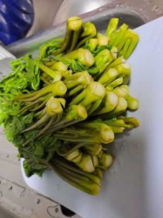 강정희님의 그곳에서 농사하게 된 계기는? · 참여글 작성글 사진