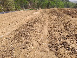 강정희님의 그곳에서 농사하게 된 계기는? · 참여글 작성글 사진