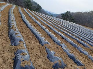 강정희님의 그곳에서 농사하게 된 계기는? · 참여글 작성글 사진
