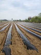 팜모닝 자유주제·자유게시판 게시글 이미지