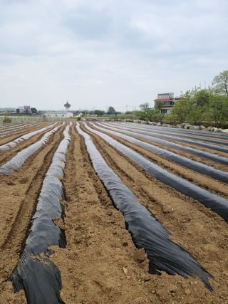 최승찬님의 자유주제 · 자유게시판 작성글 사진