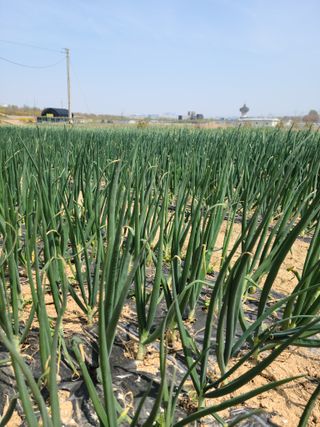 최승찬님의 자유주제 · 자유게시판 작성글 사진