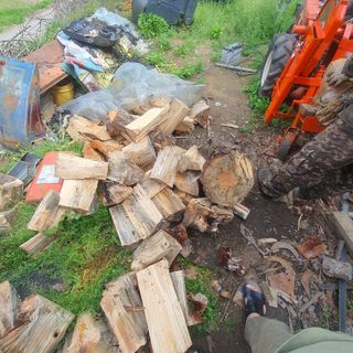 김문규님의 자유주제 · 자유게시판 작성글 사진