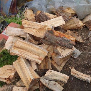 김문규님의 자유주제 · 자유게시판 작성글 사진