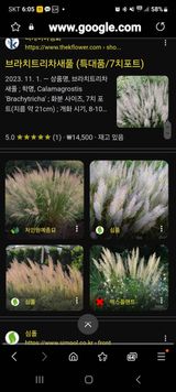 팜모닝 그곳에서 농사하게 된 계기는?·참여글 게시글 이미지