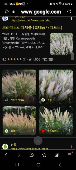 서준식님의 그곳에서 농사하게 된 계기는? · 참여글 작성글 사진