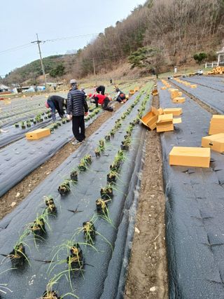 서준식님의 그곳에서 농사하게 된 계기는? · 참여글 작성글 사진