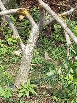 팜모닝 그곳에서 농사하게 된 계기는?·참여글 게시글 이미지