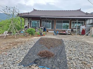 저금통님의 그곳에서 농사하게 된 계기는? · 참여글 작성글 사진