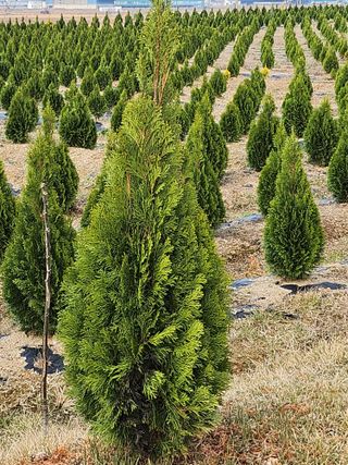 김동주님의 그곳에서 농사하게 된 계기는? · 참여글 작성글 사진
