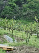 팜모닝 그곳에서 농사하게 된 계기는?·참여글 게시글 이미지