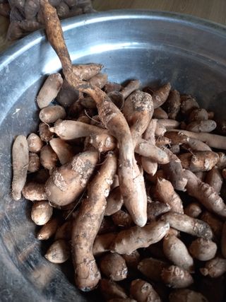 부금리(금강농원)님의 그곳에서 농사하게 된 계기는? · 참여글 작성글 사진