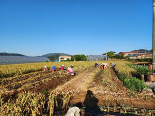 고추22083님의 그곳에서 농사하게 된 계기는? · 참여글 작성글 사진