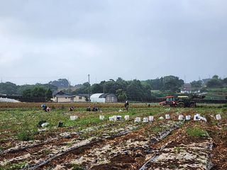 고추22083님의 그곳에서 농사하게 된 계기는? · 참여글 작성글 사진