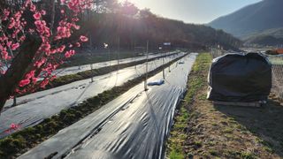 표재웅님의 그곳에서 농사하게 된 계기는? · 참여글 작성글 사진