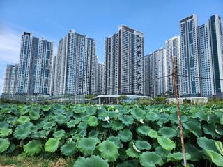 연꽃님의 그곳에서 농사하게 된 계기는? · 참여글 작성글 사진