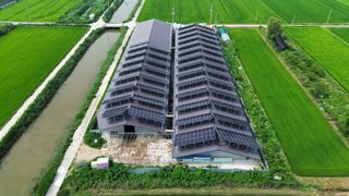 이호곤님의 그곳에서 농사하게 된 계기는? · 참여글 작성글 사진