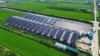 이호곤님의 그곳에서 농사하게 된 계기는? · 참여글 작성글 사진