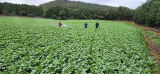 박정우님의 그곳에서 농사하게 된 계기는? · 참여글 작성글 사진
