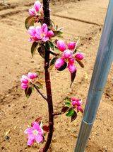 팜모닝 그곳에서 농사하게 된 계기는?·참여글 게시글 이미지