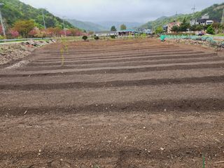 風雲雨님의 그곳에서 농사하게 된 계기는? · 참여글 작성글 사진