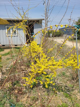 박순희님의 그곳에서 농사하게 된 계기는? · 참여글 작성글 사진