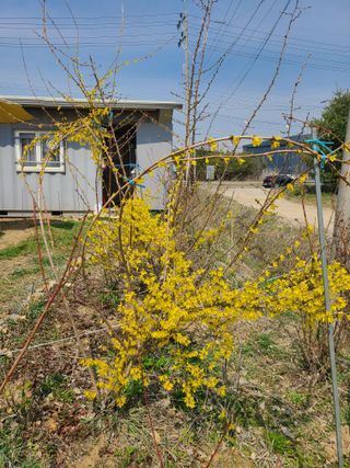 박순희님의 그곳에서 농사하게 된 계기는? · 참여글 작성글 사진